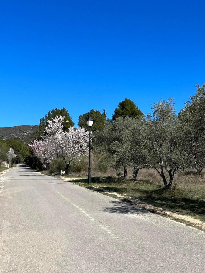 Puyvert Les Jardins De La Graviere A 5 Mn De Lourmarin Avec Piscine Priveeヴィラ エクステリア 写真